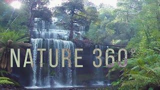 Virtual Nature 360°  Nature Meditation for VR Quest [upl. by Yasmeen]