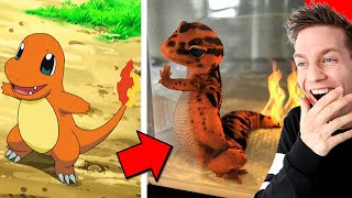 THESE POKEMON EXIST All Real Life Pokémon in 2020 [upl. by Lily]