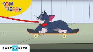 Tom și Jerry  La plimbare  Cartoonito [upl. by Clemmy]