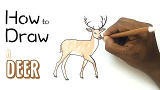 How to Draw a Deer [upl. by Stoecker]