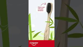 Colgate® Bamboo Charcoal Manual Toothbrush  100 Biodegradable Bamboo Handle [upl. by Adnuahsal670]