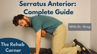 Serratus Anterior  A Complete Guide [upl. by Walcoff]