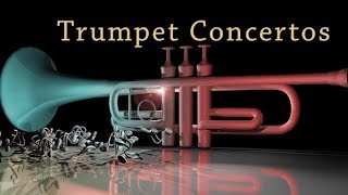 Telemann Trumpet Concertos Vol1 [upl. by Bernadene281]