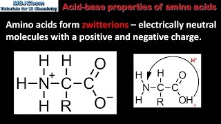 B2 Acidbase properties of amino acids SL [upl. by Lenssen406]