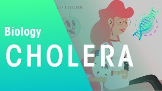 Cholera  Health  Biology  FuseSchool [upl. by Leahcimal]