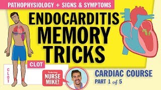 Endocarditis Pathophysiology signs and symptoms for nursing students NCLEX review [upl. by Dragoon]