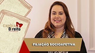 Explica Direito Filiação Socioafetiva  2019 [upl. by Earised]