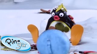 Stinky Pingu  Pingu Official  Cartoons for Kids [upl. by Ecyrb]