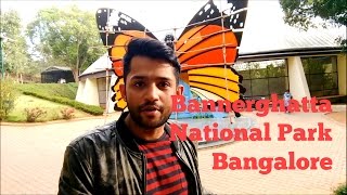 Bannerghatta National Park Tiger Safari  Butterfly Park  Zoo [upl. by Coltson]