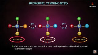 Properties of Amino acids  Medical biochemistry animations [upl. by Hsetih]