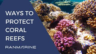 Ways to Protect Coral Reefs  RanMarine Techology [upl. by Leinaj424]