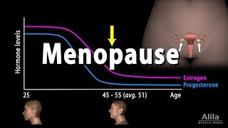 How menopause affects the brain  Lisa Mosconi [upl. by Etteloiv]