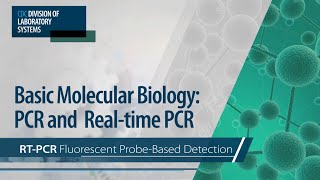 Basic Molecular Biology PCR and RealTime PCR – RTPCR Fluorescent ProbeBased Detection [upl. by Madigan]