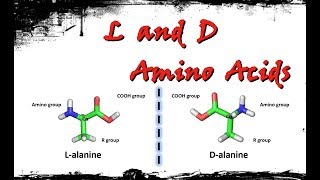 L and D amino acids [upl. by Asiel]