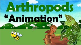 ARTHROPODS  Biology Animation [upl. by Tybi]