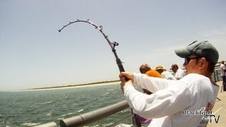 Goliath Grouper Fishing at Sebastian [upl. by Helli]