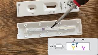 Lateral Flow Test Teardown [upl. by Ronnie]