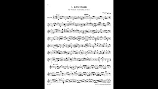 Georg Philipp Telemann  12 Fantasias for Solo Violin TWV 401425 [upl. by Ahseenal]