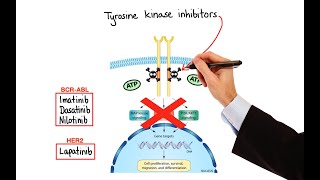 Pharmacology  CANCER DRUGS – CELL CYCLE INHIBITORS MADE EASY [upl. by Merl]