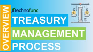 Introduction to Treasury Management Process [upl. by Ede]