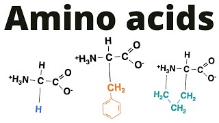 Classification of Amino acids memorize [upl. by Geminius417]