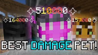 The BEST DAMAGING Pet  FEROCITY is OP  Hypixel Skyblock [upl. by Bethesda328]