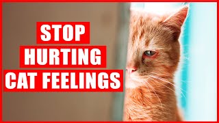 16 Things that EMOTIONALLY Hurt Your Cat [upl. by Oiliduab]