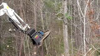 Brush Cutter Mayhem  Excavator Brush Cutter amp Mower In Action [upl. by Cann]