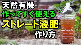 【家庭菜園有機液体肥料】材料は3つだけ！作ってスグ野菜やお花に使える NPK高バランスのストレートタイプ有機液肥の作り方 [upl. by Portwin]