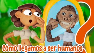 ¿Cómo evolucionó el Homo sapiens [upl. by Nichole]