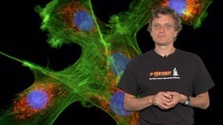 Microscopy Introduction to Fluorescence Microscopy Nico Stuurman [upl. by Nodnalb]