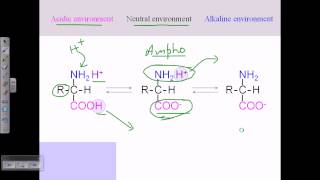 Amino acid structures part 2 [upl. by Hebel]