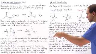 Zwitterion Form of Amino Acids [upl. by Adama]