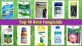 Top 10 Best Fungicide [upl. by Kcirrem]