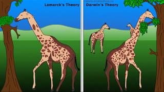 WCLN  Lamarck Vs Darwin [upl. by Rednazxela]