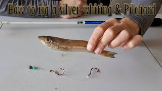 Perfect Bait Presentation  Snapper Rig  How to Rig a Pilchard [upl. by Enelyaj]