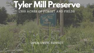 Tyler Mill Preserve  Wallingford CT [upl. by Nerok]