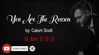 Calum Scott  You are the Reason Lyrics and Chords [upl. by Haleeuqa]