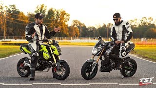 Honda Grom vs Kawasaki Z125 Whats the difference [upl. by Kenn]