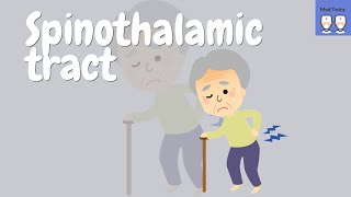 Spinothalamic tract simplified made easy [upl. by Atiner]