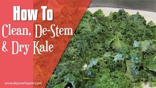 How To Clean DeStem and Dry Kale [upl. by Ayirp171]