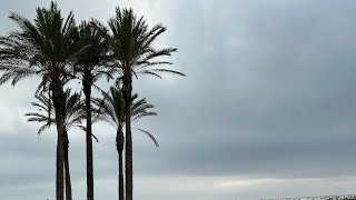 Walking  benalmadena beach [upl. by Liagibba]