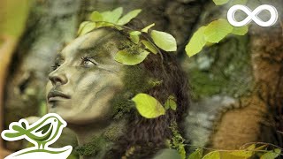 Dance of Life Relaxing Celtic Music for Meditation amp Sleep by Peder B Helland [upl. by Lekzehcey51]