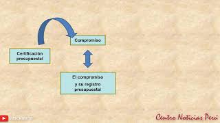 Proceso de Ejecución Presupuestaria [upl. by Milissent]