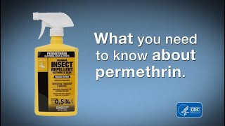 What You Need to Know about Permethrin [upl. by Anaujik625]