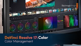 DaVinci Resolve 17 Color Training  Color Management [upl. by Nola]