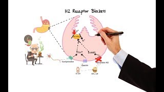 Pharmacology  ANTIHISTAMINES MADE EASY [upl. by Donal208]