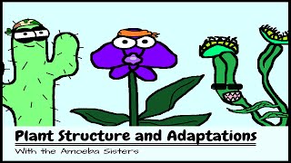 OLD VIDEO Plant Structure and Adaptations [upl. by Jarib]