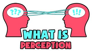 What is Perception  Explained in 2 min [upl. by Eivla]