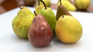 Pears Howto and Varieties [upl. by Alrzc]